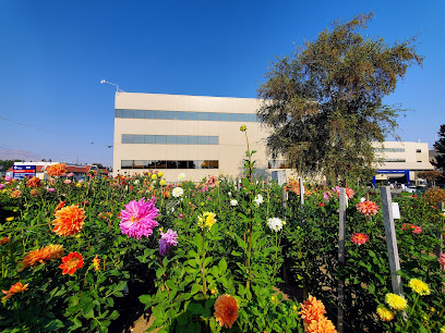 Confluence Health | Mares Campus image